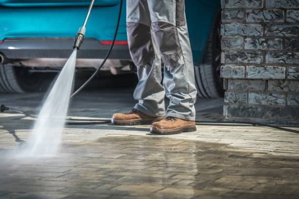 Best Animal Enclosure Cleaning  in Hlcrest, IL